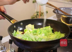 锅炝圆白菜的做法图解6
