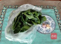 清炒菠菜的做法图解1