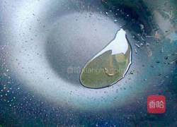 幸福小鸡的做法图解7