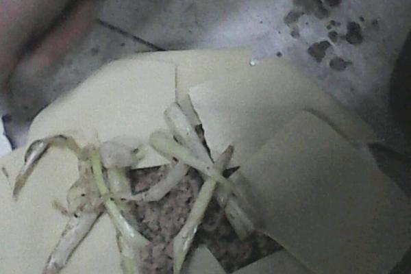 京酱肉末（自创）