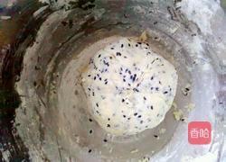 炼乳黑芝麻星星饼干的做法图解7
