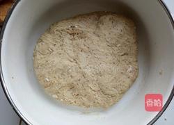 红枣馒头的做法图解6