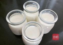 自制酸奶的做法图解6