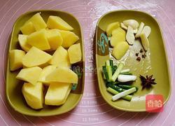 土豆烧鸡块的做法图解2