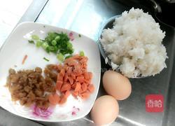 萝卜干炒饭(菜脯炒饭)的做法图解1