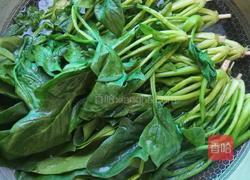炝拌菠菜的做法图解2