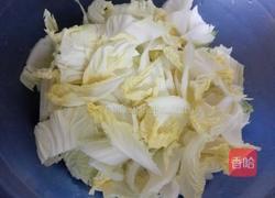 猪肉白菜炖粉条的做法图解2