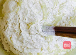 脆蛋卷。的做法图解3