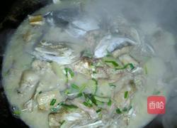 简单的鱼头汤的做法图解4