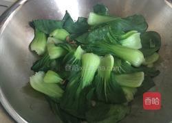 虾皮油菜的做法图解6