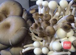 菌菇排骨汤的做法图解4