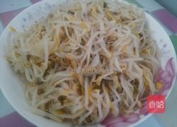 炝炒绿豆芽的做法图解5