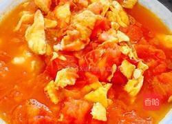 【简易版】番茄炒蛋的做法图解10