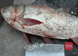 熏鱼的做法图解1