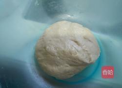 蔬菜披萨的做法图解1