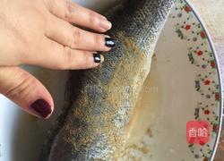 清蒸鲈鱼的做法图解3