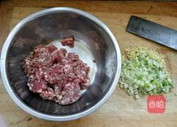 羊肉胡萝卜饺子的做法图解1