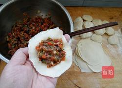 羊肉胡萝卜饺子的做法图解6
