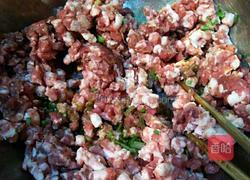 白菜(百财)水饺的做法图解1