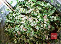 白菜(百财)水饺的做法图解2