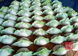 白菜(百财)水饺的做法图解9