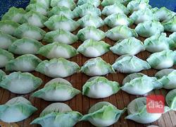 白菜(百财)水饺的做法图解10