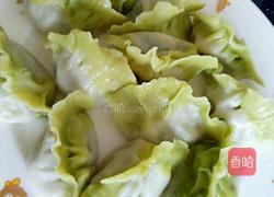 白菜(百财)水饺的做法图解11