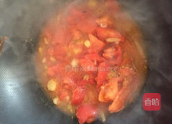 番茄包菜炖排骨的做法图解6