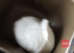 黑山猪茴香水饺的做法图解7