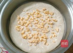 原香烧烤鸡披萨的做法图解10