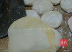 彩色水饺的做法图解11