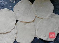 自制白菜猪肉锅贴的做法图解5