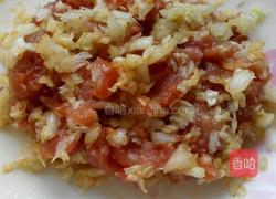 自制白菜猪肉锅贴的做法图解10