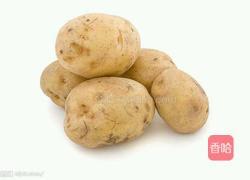 三宝气锅鸡的做法图解3