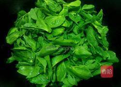 上汤荷兰豆苗的做法图解6