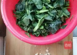 蒜蓉芥兰的做法图解1