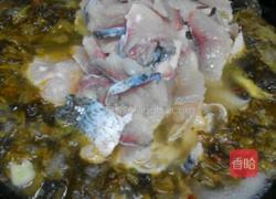 家常版酸菜鱼的做法图解6