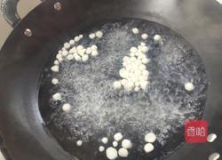 酒酿丸子(适合小孩吃)的做法图解3