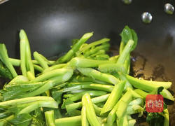 砂窝菜心的做法图解5