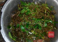 石橄榄鸡汤的做法图解3