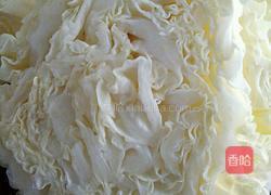 爽口白菜凉菜的做法图解1