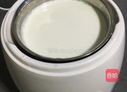 自制酸奶的做法图解3