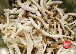 菇菇与小鲜肉的做法图解1