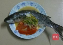 蕃茄煮乌鱼的做法图解8