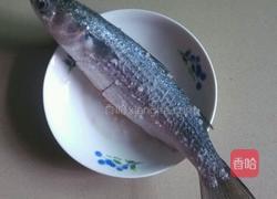 蕃茄煮乌鱼的做法图解1