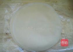 素菜春卷的做法图解11