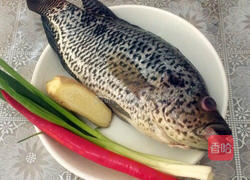 茄汁石斑鱼的做法图解1