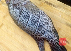 茄汁石斑鱼的做法图解2