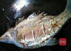 红烧鳊鱼的做法图解3