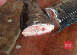 养生黑鱼汤的做法图解4